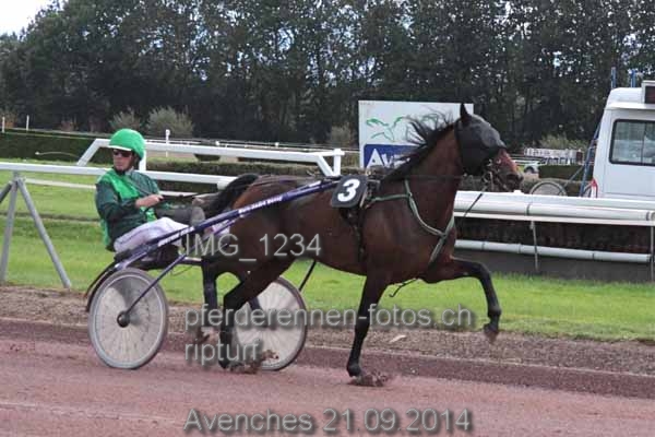 IMG 1234 prot